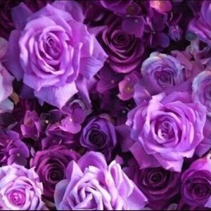 Meet your Posher, Alison